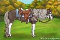 Horse Color:Silver Black Splash 