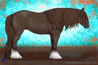 Horse Color:Liver Chestnut Sabino