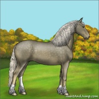 Horse Color:Chocolate Palomino 