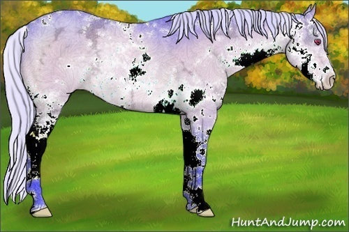 Horse Color:Watercolor Silver Brown Chinchilla Ice Sabino Rabicano