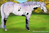 Horse Color:Watercolor Silver Brown Chinchilla Ice Sabino Rabicano 