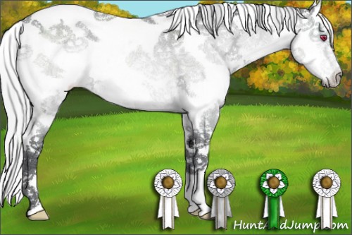 Horse Color:Silver Brown Chinchilla Ice Sabino Frame 