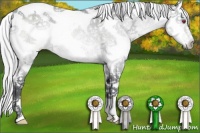 Horse Color:Silver Brown Chinchilla Ice Sabino Frame 