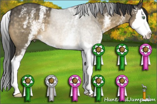 Horse Color:White Spotted Buckskin Sabino Splash 