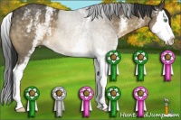 Horse Color:White Spotted Buckskin Sabino Splash