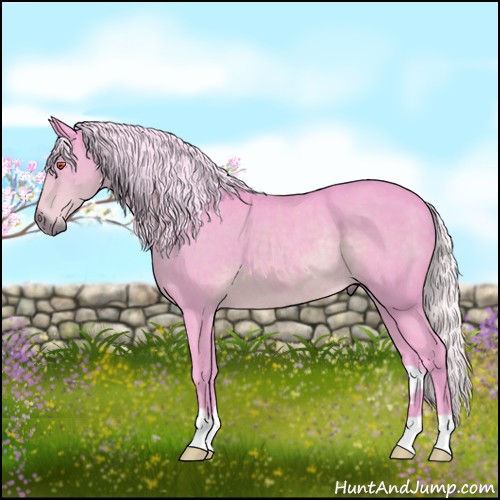 Horse Color:Watercolor Silver Black Chinchilla Rabicano