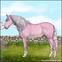 Horse Color:Watercolor Silver Black Chinchilla Rabicano 