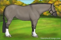 Horse Color:Smoky Grullo 