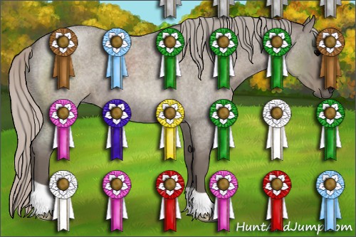 Horse Color:Silver Grullo Roan 