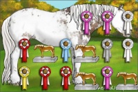 Horse Color:Silver Black Sabino 