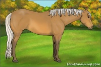 Horse Color:Silver Buckskin 