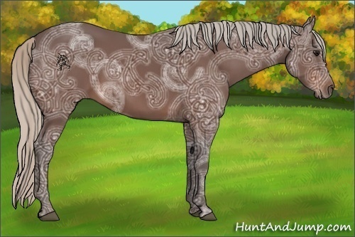 Horse Color:Silver Brown Ice