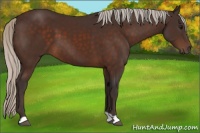 Horse Color:Silver Brown
