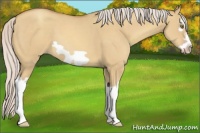 Horse Color:Silver Sable Champagne Dun Splash Frame 