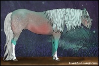 Horse Color:Watercolor Silver Brown 