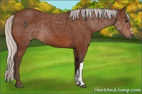 Horse Color:Silver Brown 
