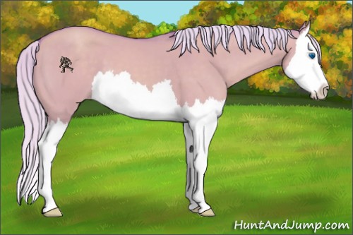 Horse Color:Watercolor Silver Classic Champagne Dun Splash