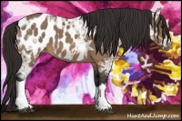 Horse Color:Brown Ice Dun Near Leopard