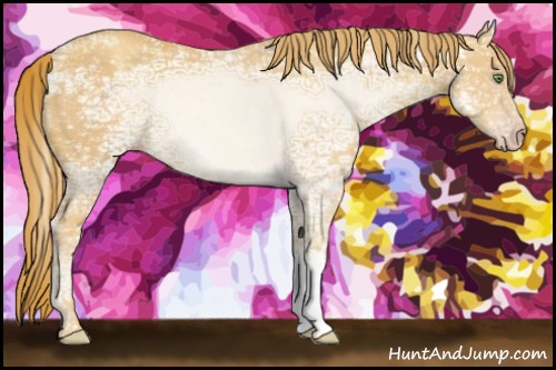 Horse Color:White Spotted Gold Champagne Ice