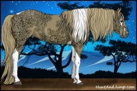 Horse Color:Watercolor White Spotted Chestnut Ice Tobiano