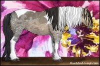 Horse Color:Bay Ice Tobiano 