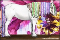 Horse Color:Painted Silver Grullo Ice Tobiano Appaloosa Rabicano 