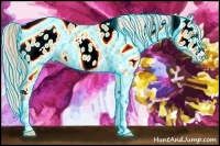 Horse Color:Thunderstruck Gold Cream Champagne Dun Splash Tobiano Near Leopard Rabicano 