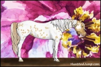 Horse Color:White Spotted Palomino Dun Tobiano Near Leopard