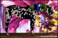 Horse Color:Painted Liver Red Dun Splash Tobiano Appaloosa Rabicano 