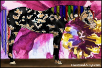 Horse Color:Gray Painted White Spotted Gold Cream Champagne Frame Appaloosa Rabicano