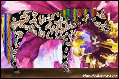 Horse Color:Gray Painted White Spotted Liver Red Dun Appaloosa Rabicano 