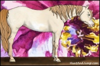 Horse Color:White Spotted Gold Champagne Ice Dun Frame Rabicano