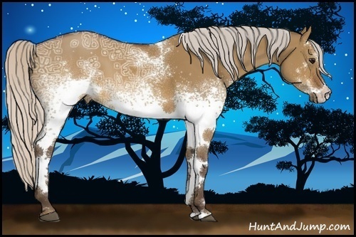Horse Color:White Spotted Silver Brown Ice Dun