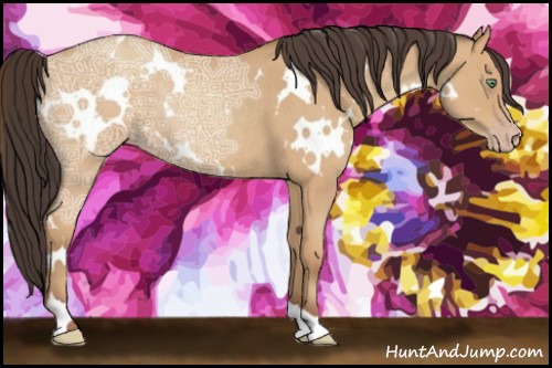 Horse Color:White Spotted Amber Champagne Ice Roan Rabicano 