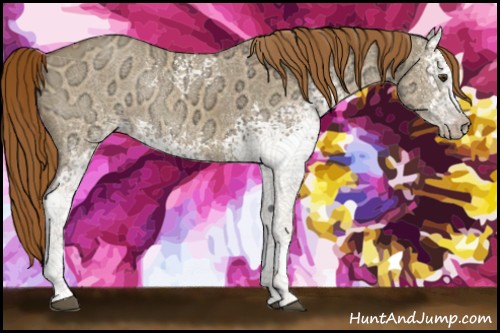 Horse Color:White Spotted Red Dun Ice Rabicano 