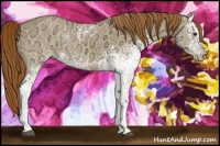 Horse Color:White Spotted Red Dun Ice Rabicano 