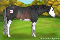 Horse Color:Brown Splash Rabicano