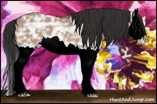 Horse Color:Bay Ice Dun Splash 