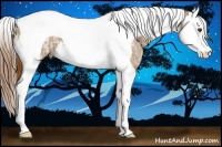 Horse Color:Chestnut Ice Splash Tobiano 