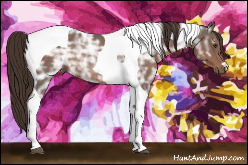 Horse Color:Liver Chestnut Ice Tobiano Rabicano 