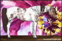 Horse Color:Liver Chestnut Ice Tobiano Rabicano 