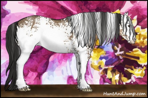 Horse Color:White Spotted Liver Red Dun 