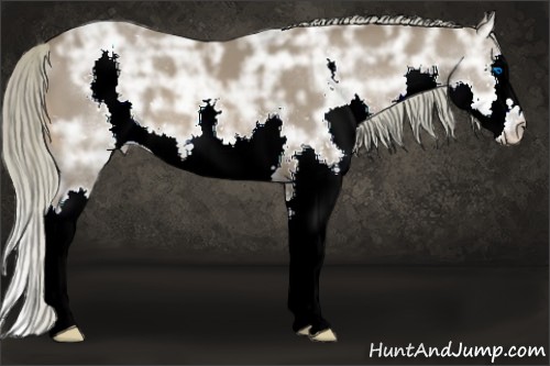 Horse Color:Liver Chestnut Ice Splash 