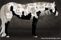 Horse Color:Liver Chestnut Ice Splash