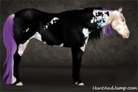 Horse Color:Watercolor Sable Champagne Ice Tobiano Near Fewspot 