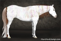 Horse Color:Chestnut Ice Splash Varnish