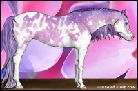 Horse Color:Watercolor Brown Splash Appaloosa