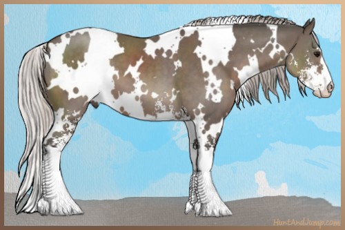 Horse Color:White Spotted Silver Black Sabino 