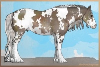 Horse Color:White Spotted Silver Black Sabino