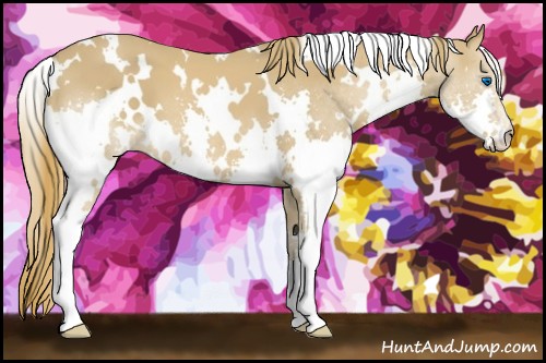 Horse Color:White Spotted Chestnut Splash 